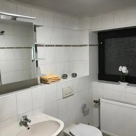 Apartamento Cozy Braunlage Exterior foto